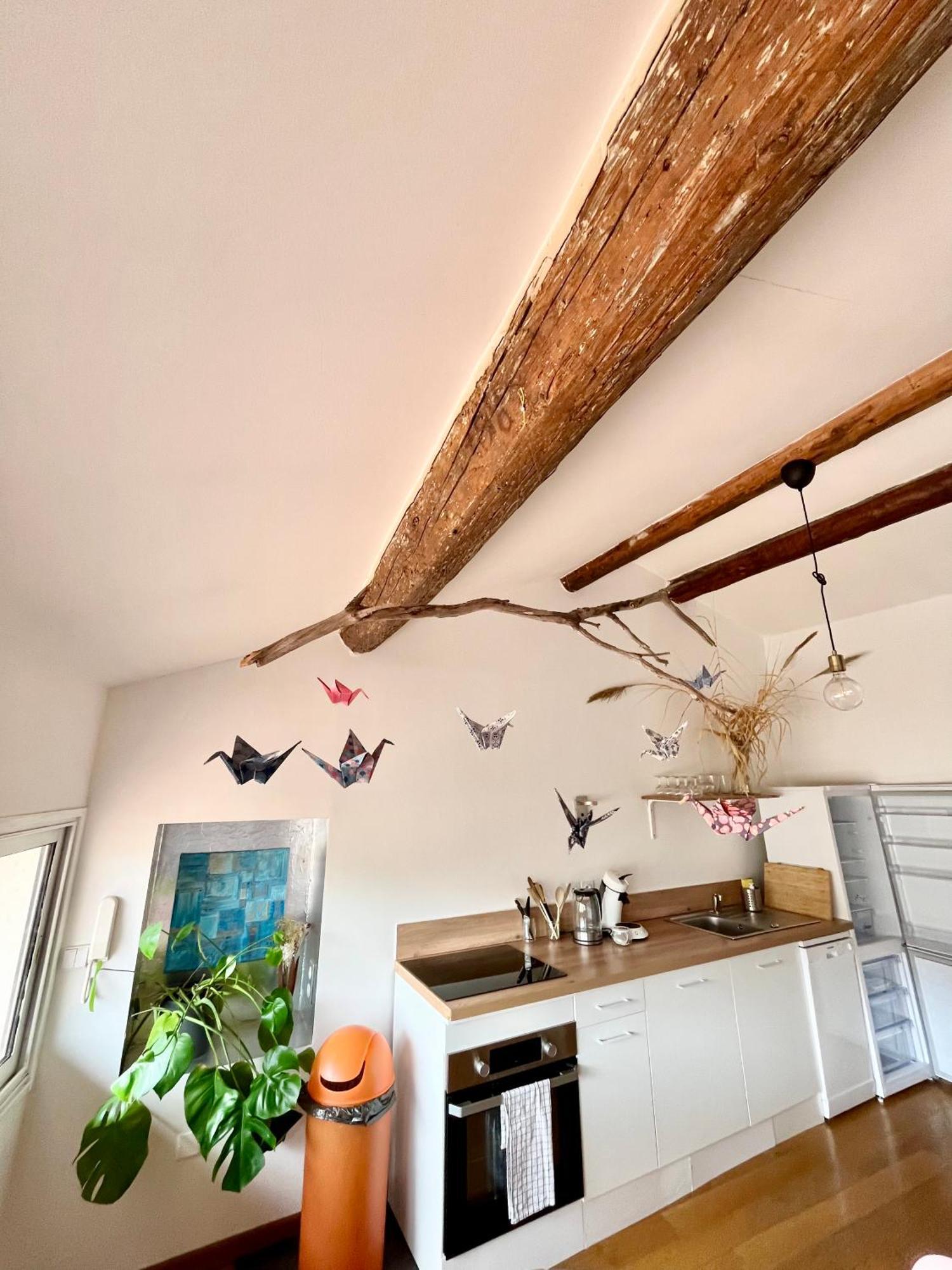 A Spacious, Sunny & Calm Loft In Avignon'S Heart 외부 사진